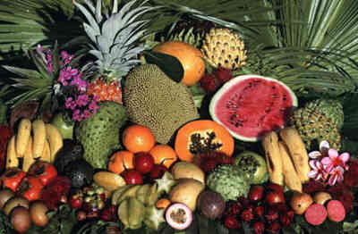 熱帶水果風味巡禮 從常見珍品到異國奇遇